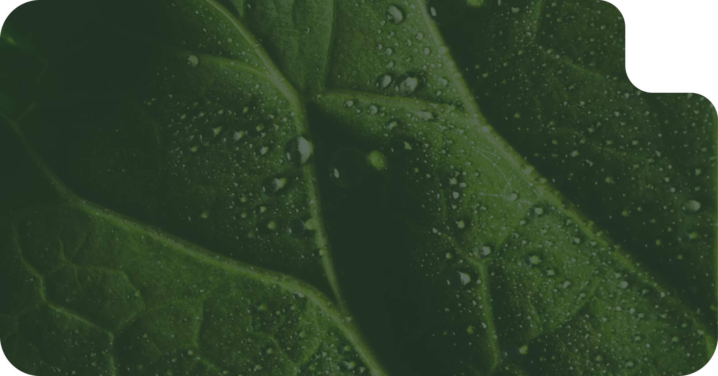 Правовые вопросы в апк Hover